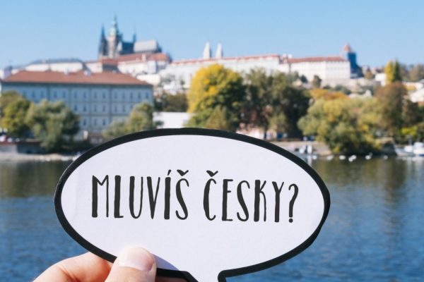 Професійний переклад з чеської на українську Львів​
